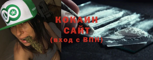 ГАЛЛЮЦИНОГЕННЫЕ ГРИБЫ Баксан