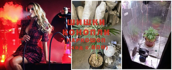 ГАЛЛЮЦИНОГЕННЫЕ ГРИБЫ Баксан