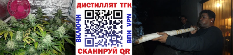ТГК жижа  закладки  Невель 