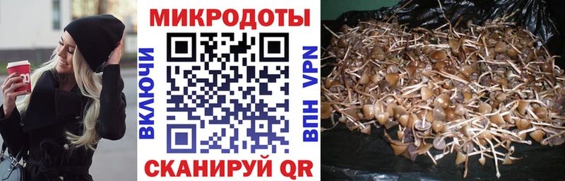 Псилоцибиновые грибы Cubensis  купить  сайты  Невель 