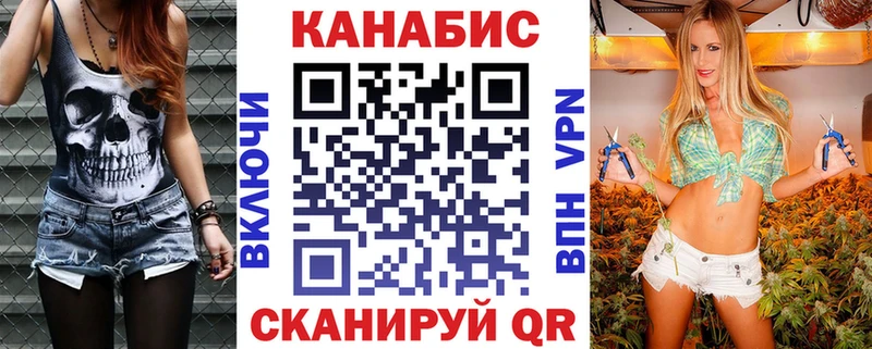 магазин продажи наркотиков  Невель  Шишки марихуана сатива 
